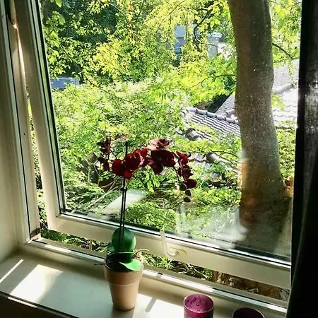 7 Mountains Apt #1 * Bergen